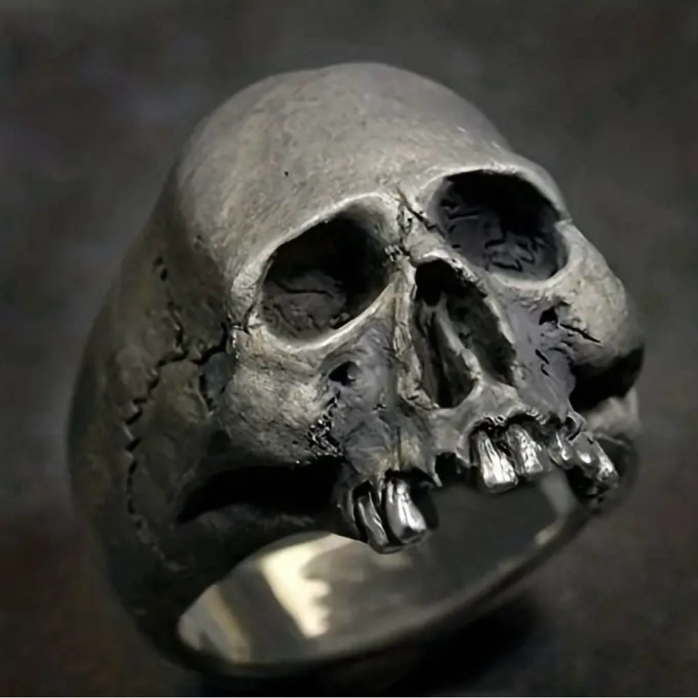 Men’s Stainless Steel Matte Silver Skull Punk Style Ring Size 9